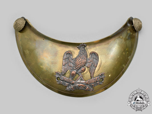 france,_revolutionary_period._french_revolutionary_wars_officer's_gorget_c2020_610_mnc5723