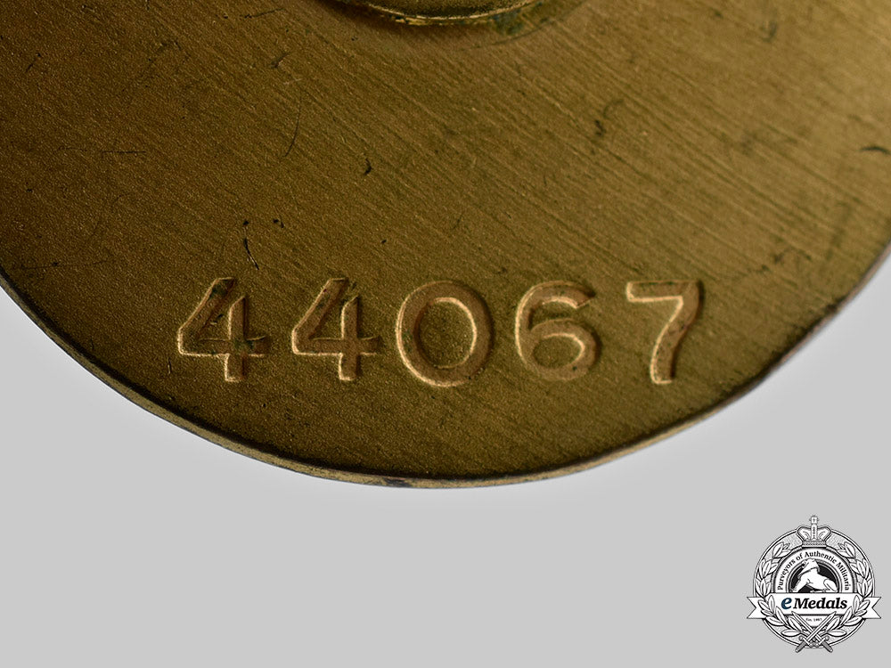 germany,_nsdap._a_golden_party_badge,_small_version,_by_deschler&_sohn_c2020_977_mnc4019_1_1_1_1