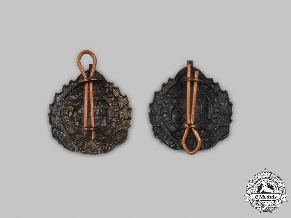 canada,_cef._a138_th_infantry_battalion"_edmonton_battalion"_collar_badge_pair_c2021_534emd_7986_1