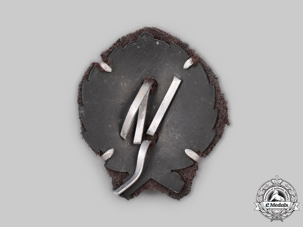 croatia,_independent_state._an_early_army_home_defence_officer's_cap_badge_c2021_659_mnc4190_1