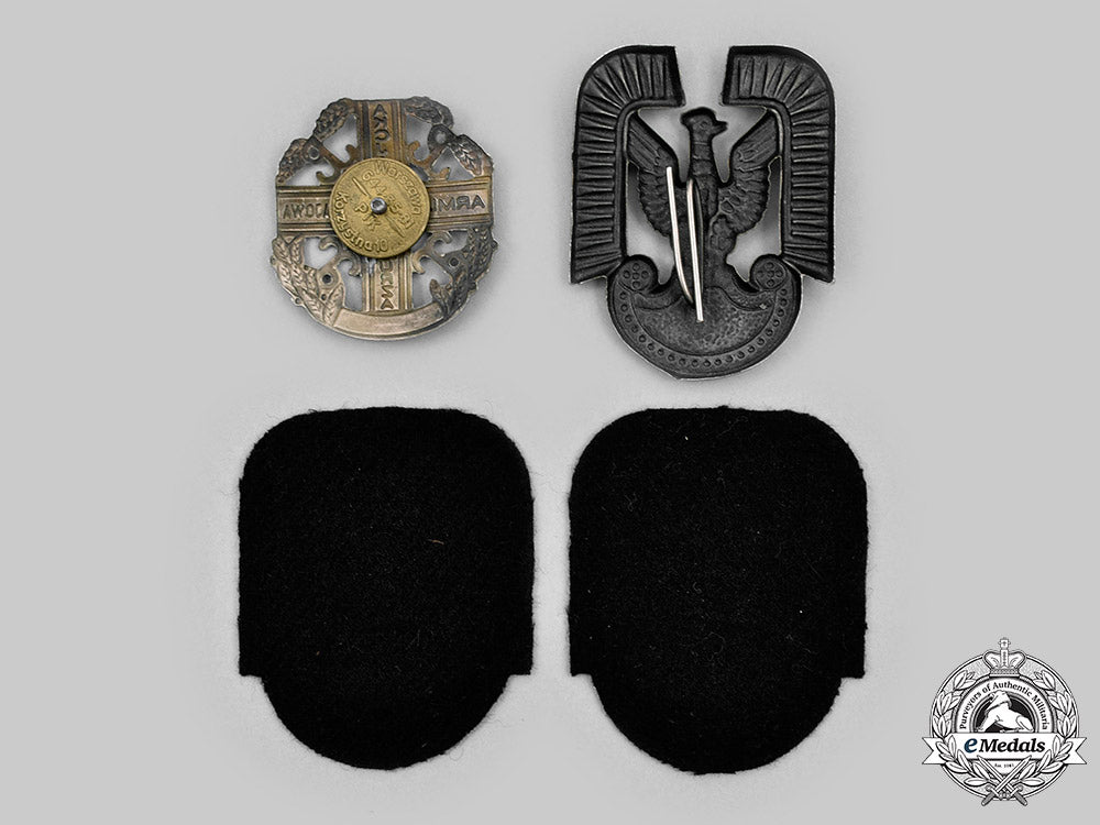 poland,_republic._a_lot_of_four_army_and_air_force_badges_c20631_mnc9141_1