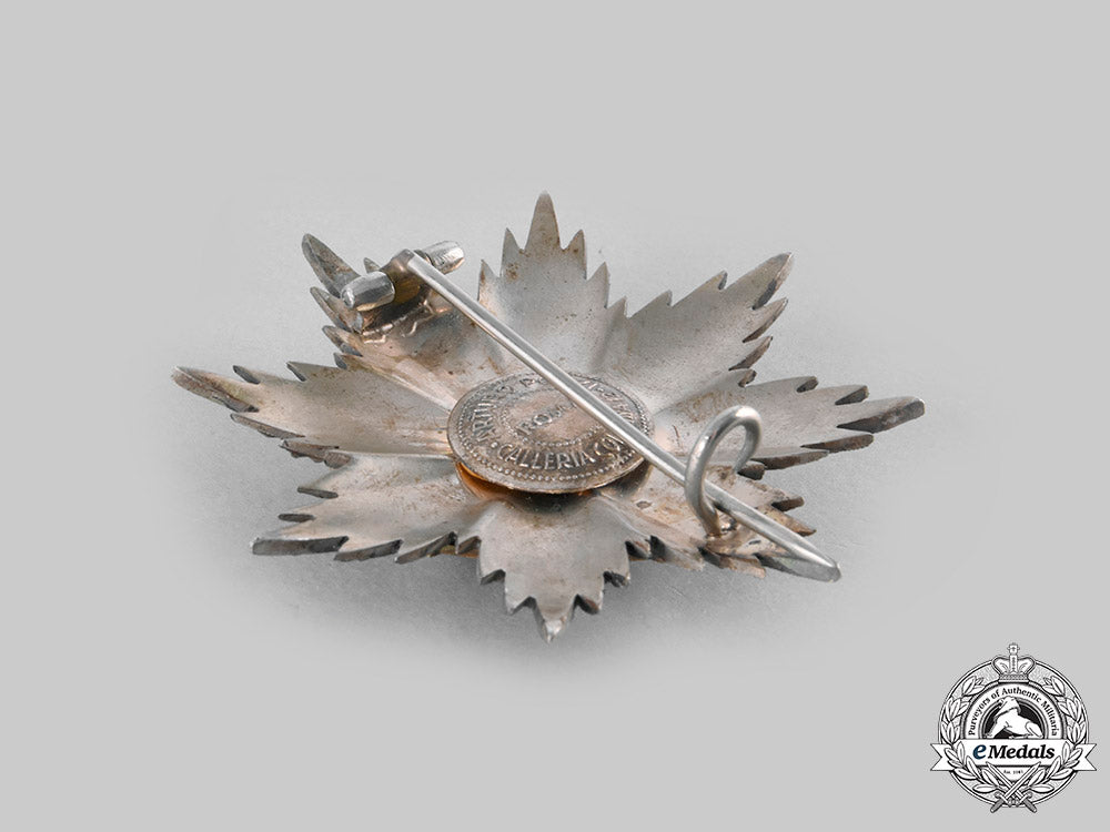 italy,_republic._an_order_of_merit,_i_class_grand_cross_star,_by_arthuro_pozzi,_c.1960_c20755_emd9447_1_1