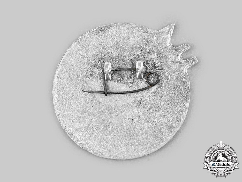 vietnam,_democratic_republic._a_badge_for_participants_in_the_dien_bien_phu_campaign_in_the_first_indochina_war1954_c20863_mnc8232