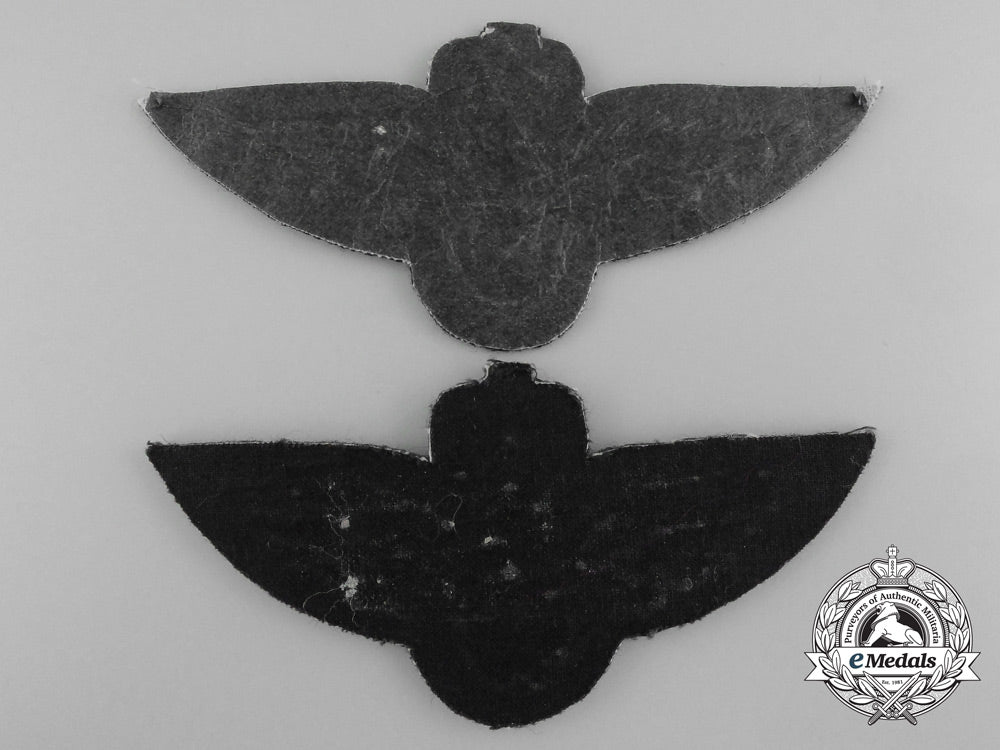 two_second_war_royal_norwegian_air_force(_rnaf)_badges1940-1945_c_0085