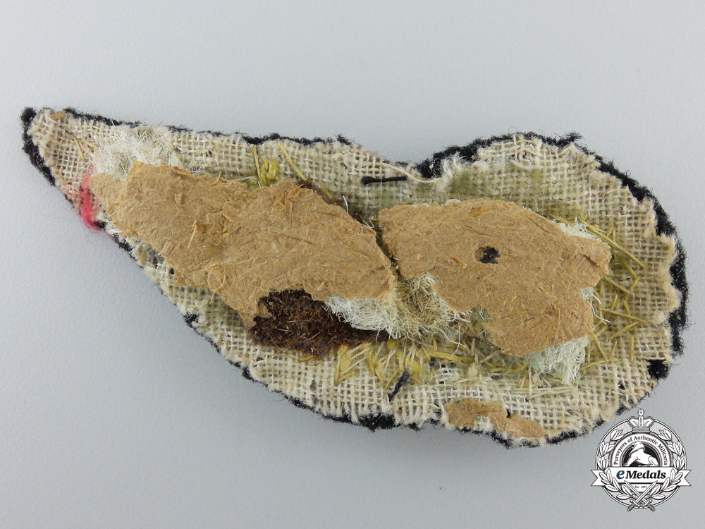 a_royal_air_force(_raf)_air_gunner(_ag)_wing_c_089