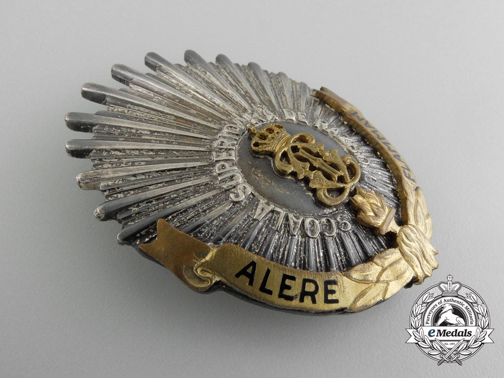 romania,_kingdom._a_regimental_badge,_c.1917_c_5262