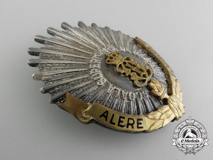 romania,_kingdom._a_regimental_badge,_c.1917_c_5262