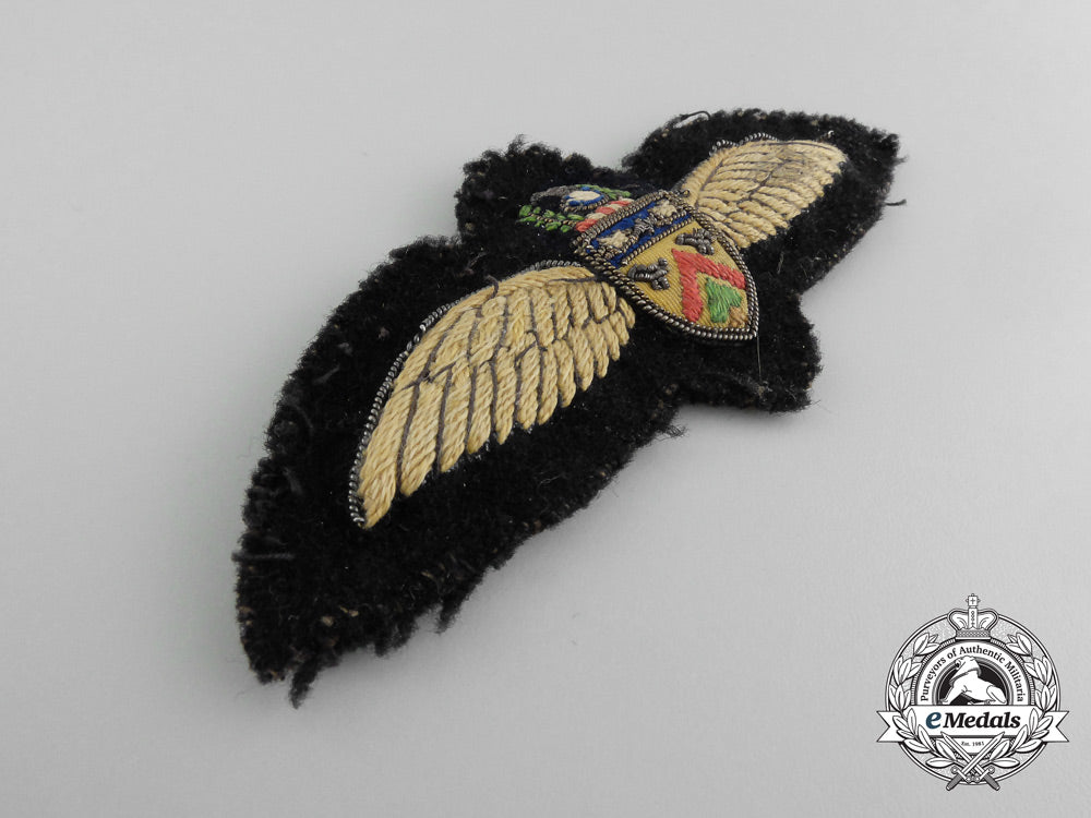 an_unknown_pilot_wing_c_8867