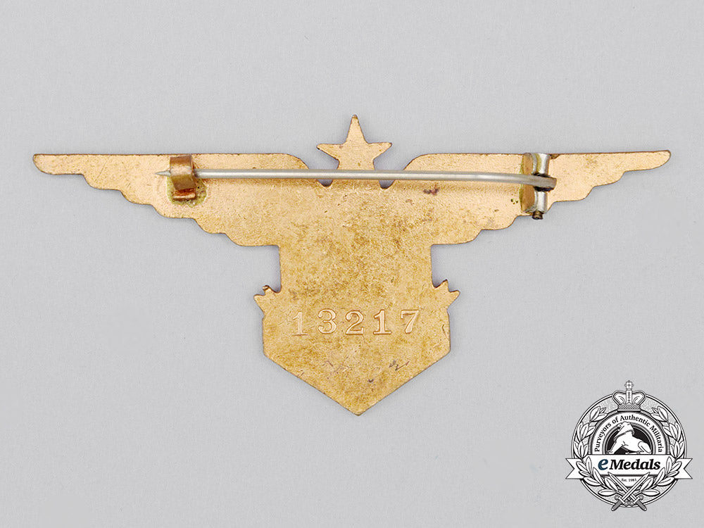 a_second_war_free_french_air_forces(_fafl)_pilot_wing/_branch_of_service_badge_cc_0652