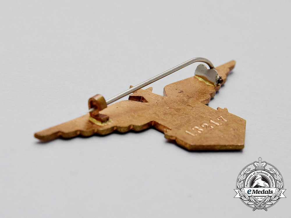 a_second_war_free_french_air_forces(_fafl)_pilot_wing/_branch_of_service_badge_cc_0653