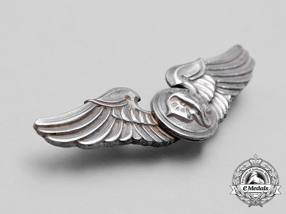 a_south_vietnamese_air_force(_vnaf)_loadmaster_aviation_badge_cc_1648