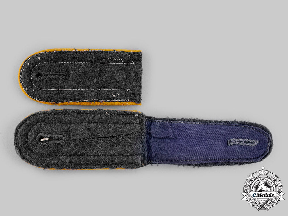 germany,_luftwaffe._a_lot_of_uniform_insignia_ci19_0793_2_1