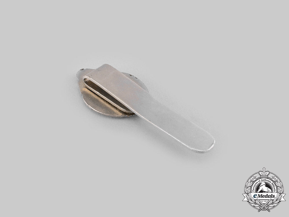 germany,_third_reich._a_thuringia_fire_brigade_academy_badge_ci19_1789_1