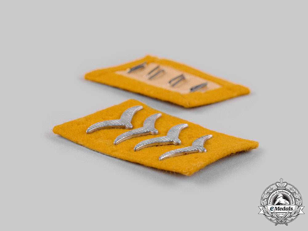 germany,_luftwaffe._a_lot_of_luftwaffe_rank_insignia_ci19_2237