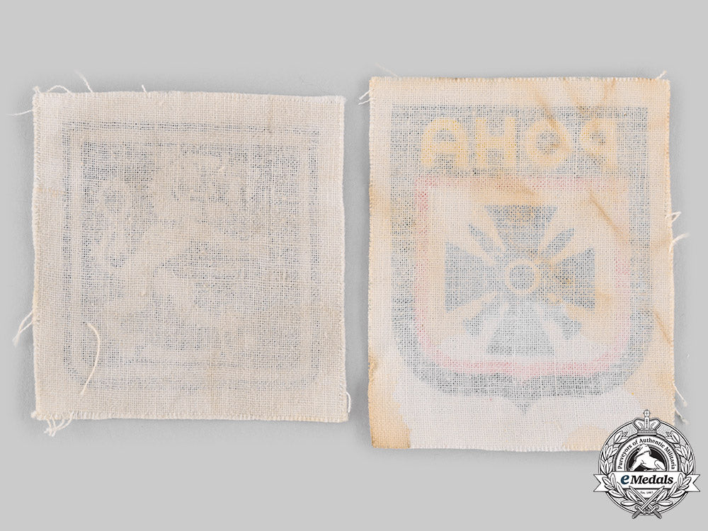 germany,_ss._a_pair_of_foreign_volunteer_arm_shields_ci19_3313