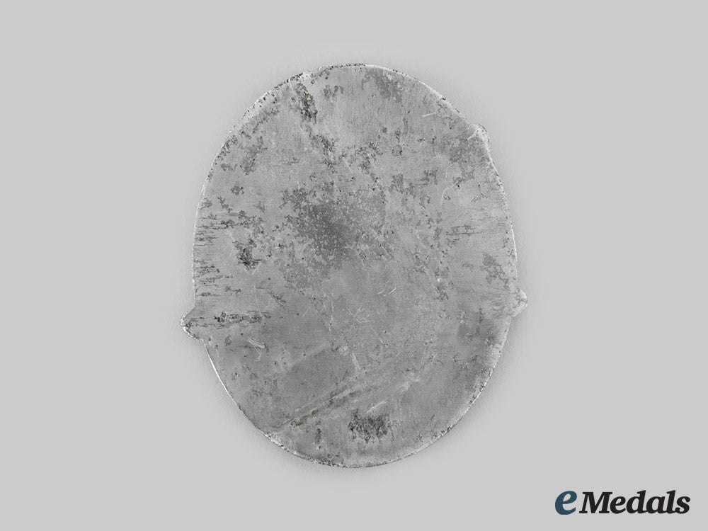 germany,_third_reich._a1933_fürth_inaugural_national_socialist_flight_week_table_medal_ci19_3491_1_1_1_1_1_1_1