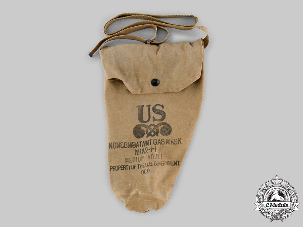 united_states._a_non-_combatant_gas_mask_ci19_4353