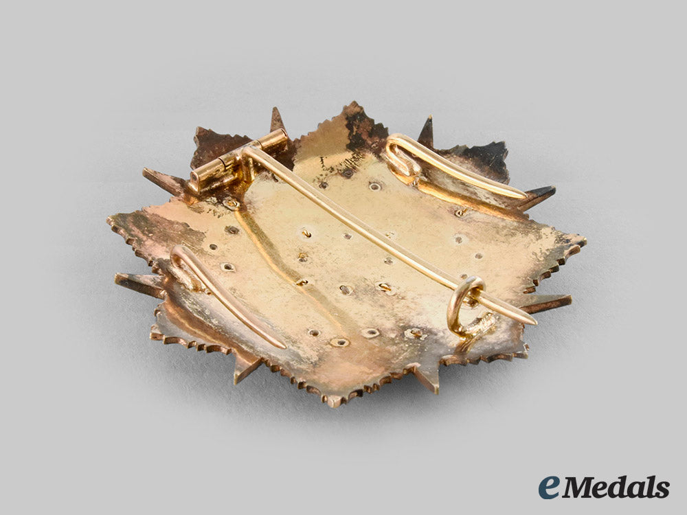 italy,_tuscany._a_military_order_of_saint_stephen,_grand_cross_breast_star,_c.1840_ci19_4657_1_1_1_1