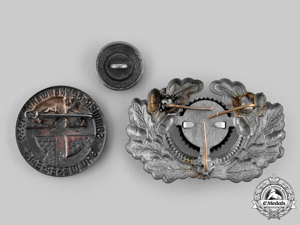 germany,_third_reich._a_lot_of_insignia_ci19_8819_1