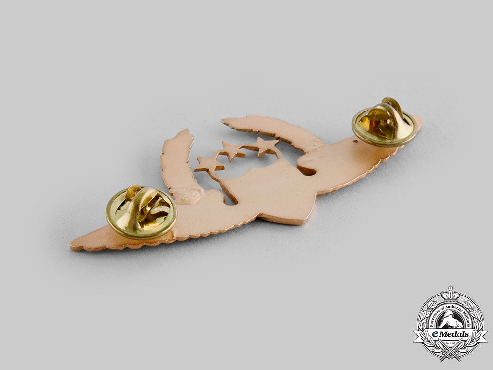 colombia._republic._an_air_force_pilot_badge_with_three_stars_and_wreath(_general_officer)_ci19_9824