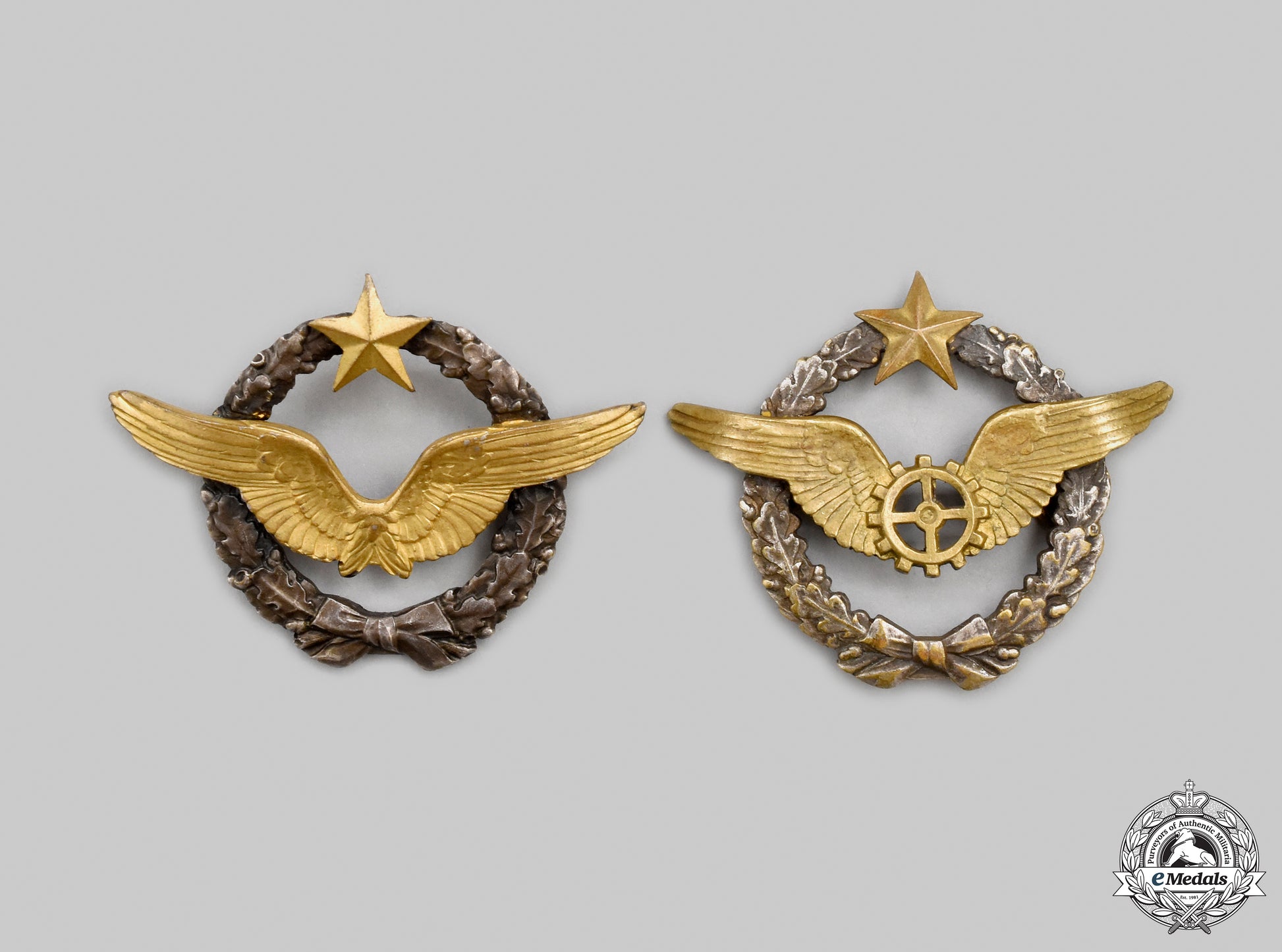 france,_iii_republic._two_army_of_the_air_qualification_beret_badges_cic2021__mnc6588