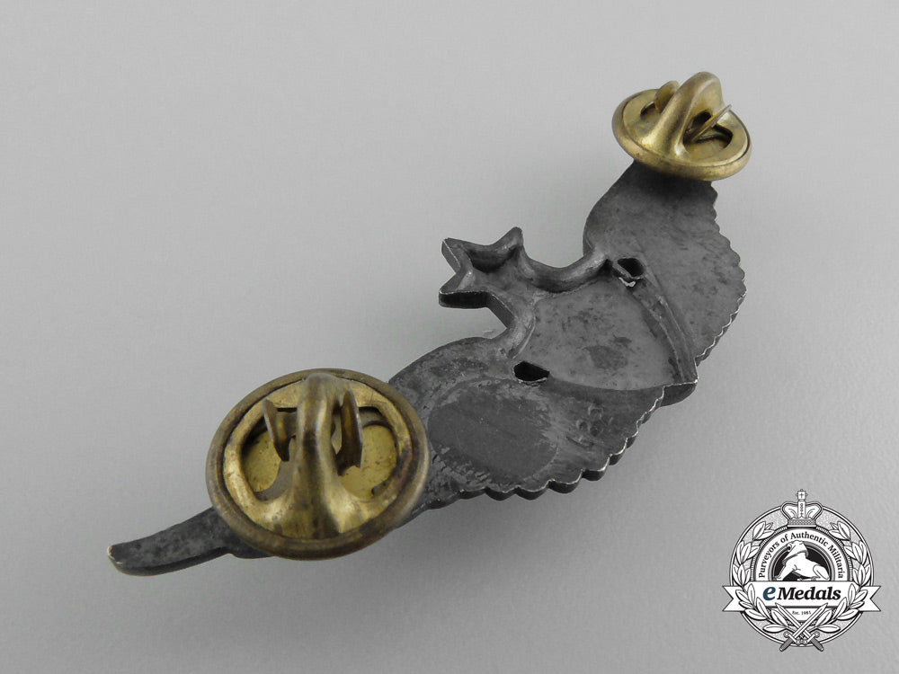 an_american_nasa–_army_master_astronaut’s_wings_d_0176