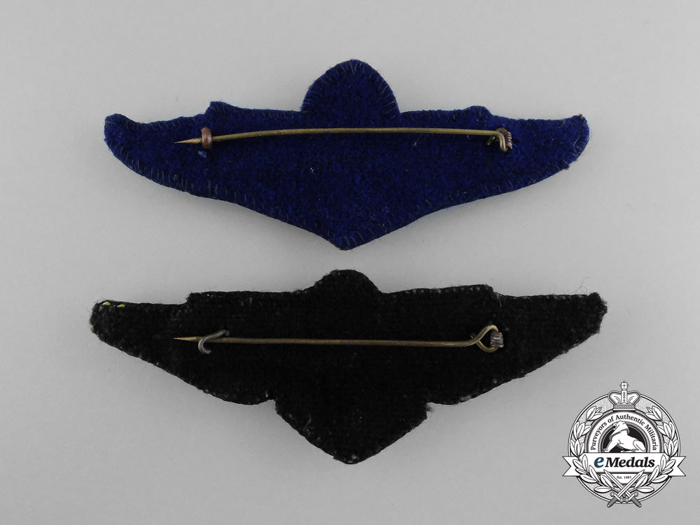 two_royal_thai_air_force_badges_d_0198_1
