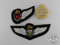 Three Rhodesian Air Force Insignia