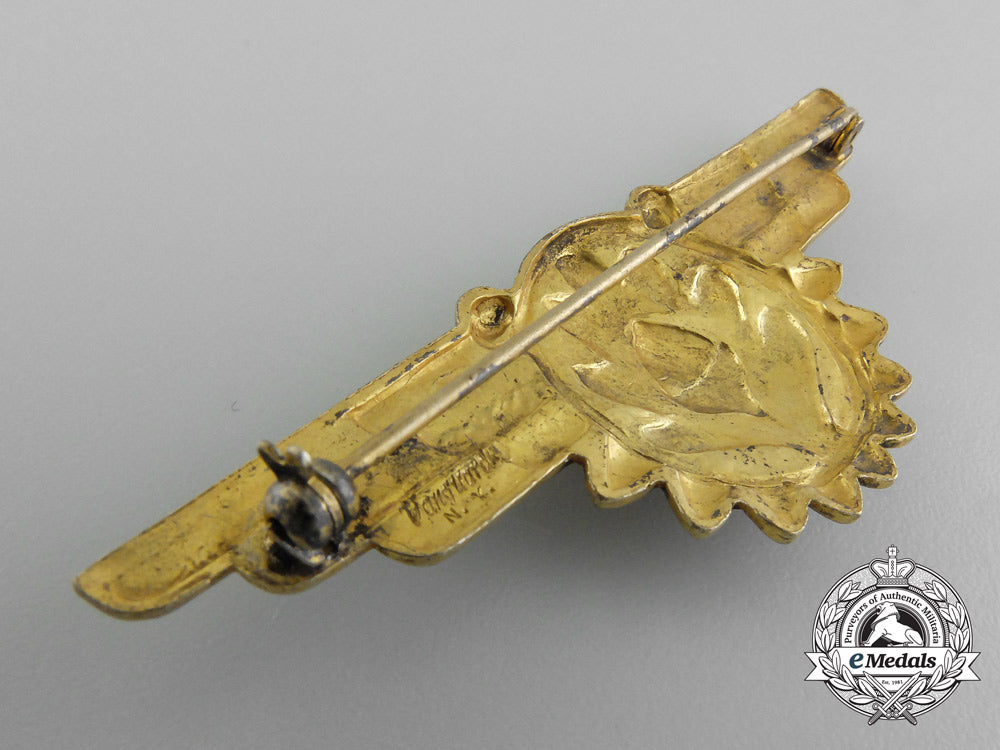 a_united_states_navy_flight_surgeon_wings_by_vanguard_n.y._d_0902