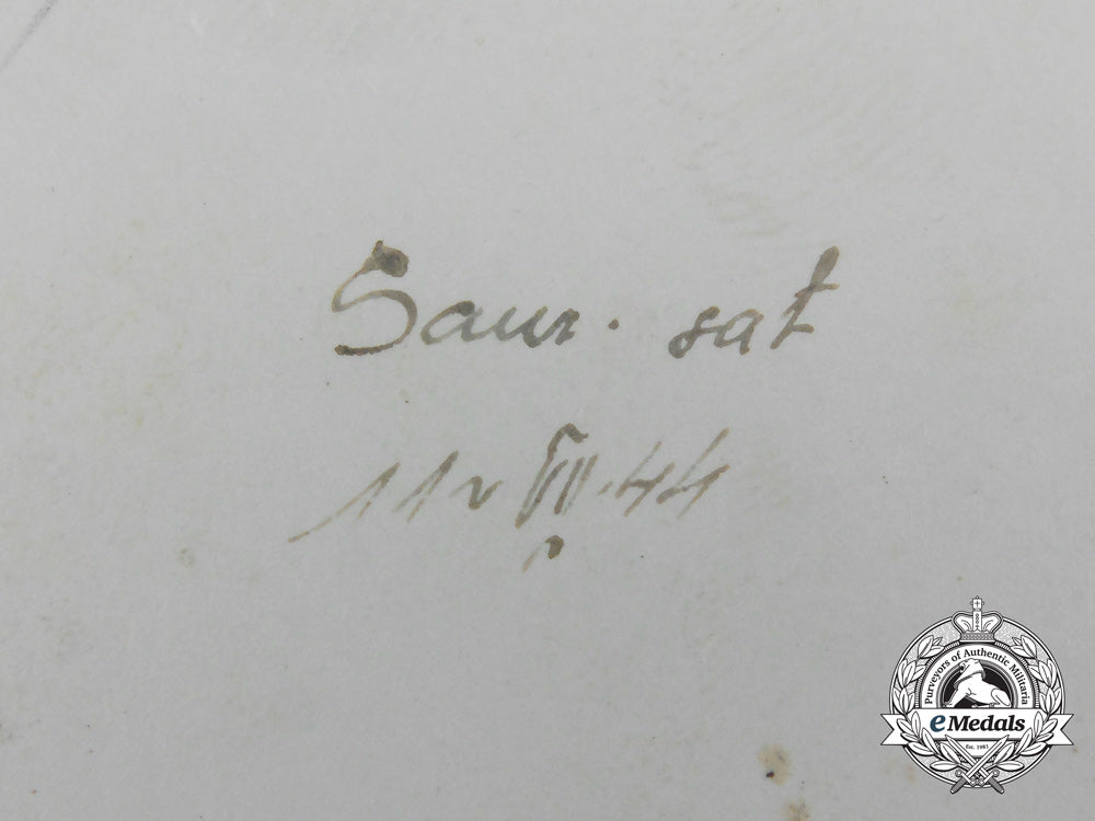 a_fine_photo_of_second_war_croatian_airman_and_paratrooper_d_1800_1