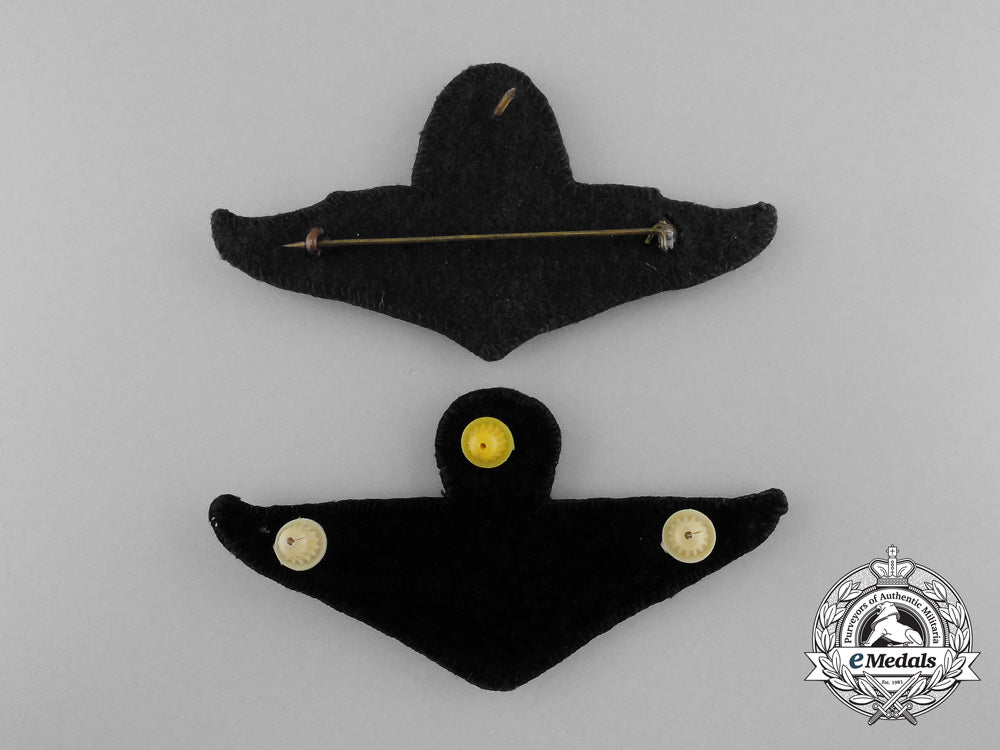 two_royal_thai_air_force(_rtaf)_badges_d_3966_1