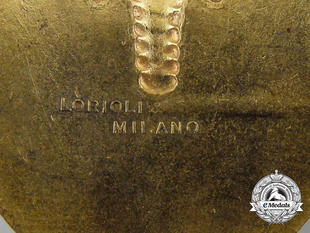 an_italian13_th_black_mountain_infantry_division(13ª_divisione_fanteria"_monte_nero")_sleeve_shield1934-1939_d_4751_1