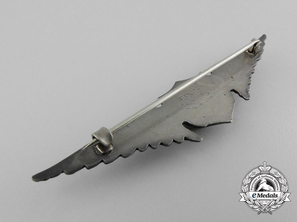 a_fine_set_of_united_states_army_air_service_aviator_pilot_wings_d_5254_1