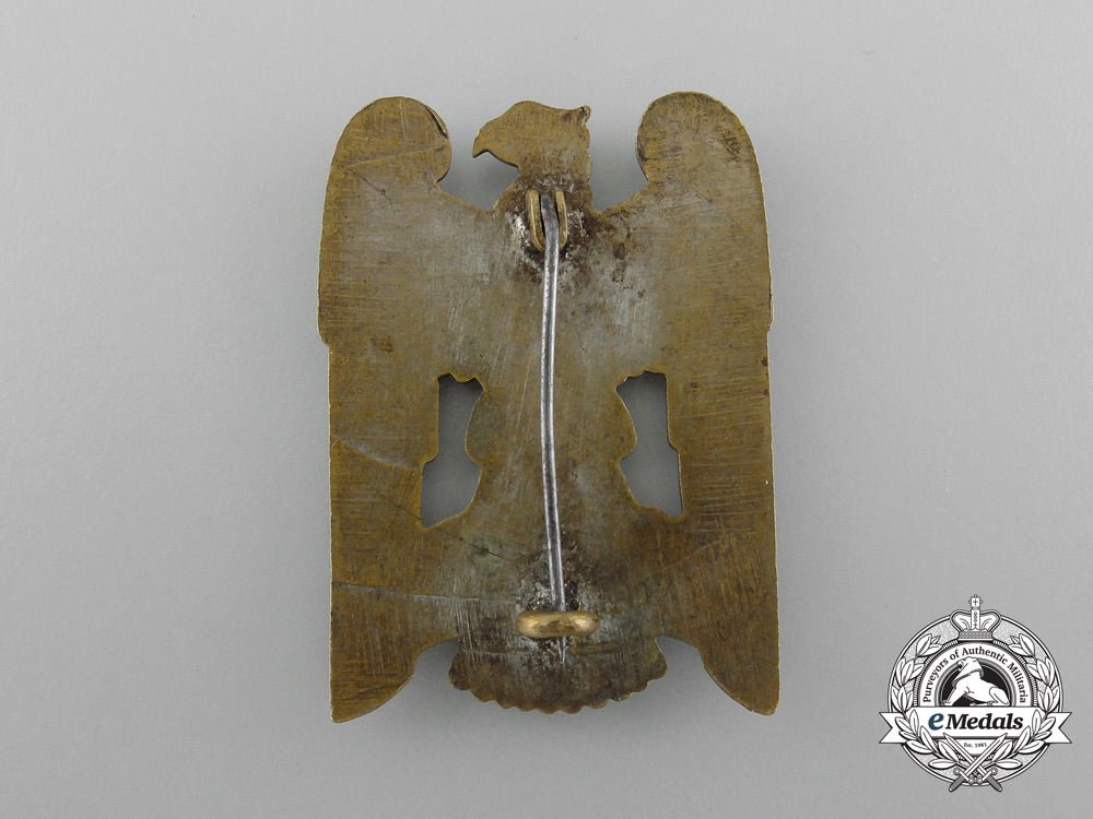 a_first_class_silesian_eagle_d_6011