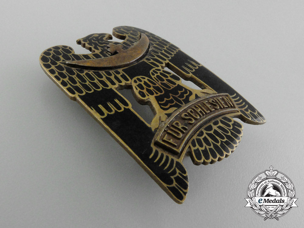 a_first_class_silesian_eagle_d_6012