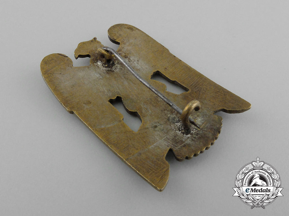 a_first_class_silesian_eagle_d_6013