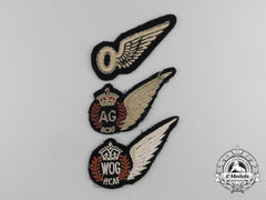 Three Royal Canadian Air Force (Rcaf) Wings