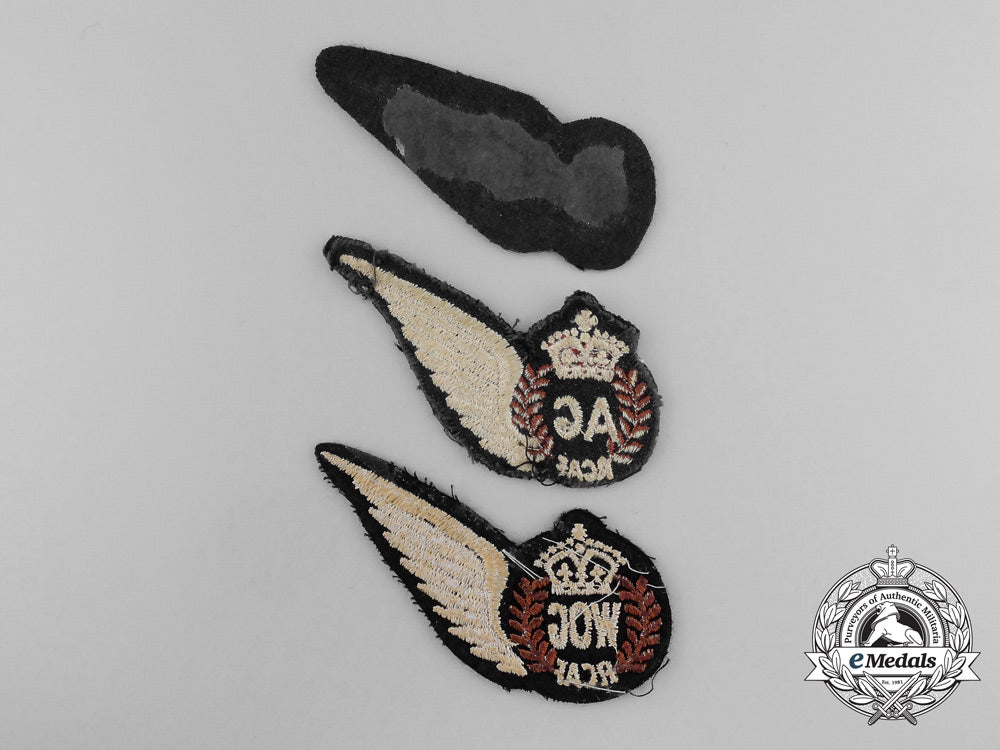 three_royal_canadian_air_force(_rcaf)_wings_d_7247_1