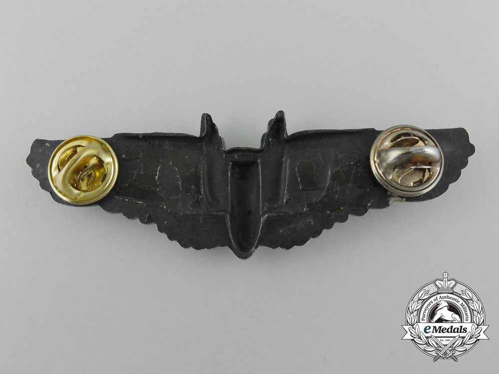 an_american_army_air_force_aerial_gunner_wing_d_7666