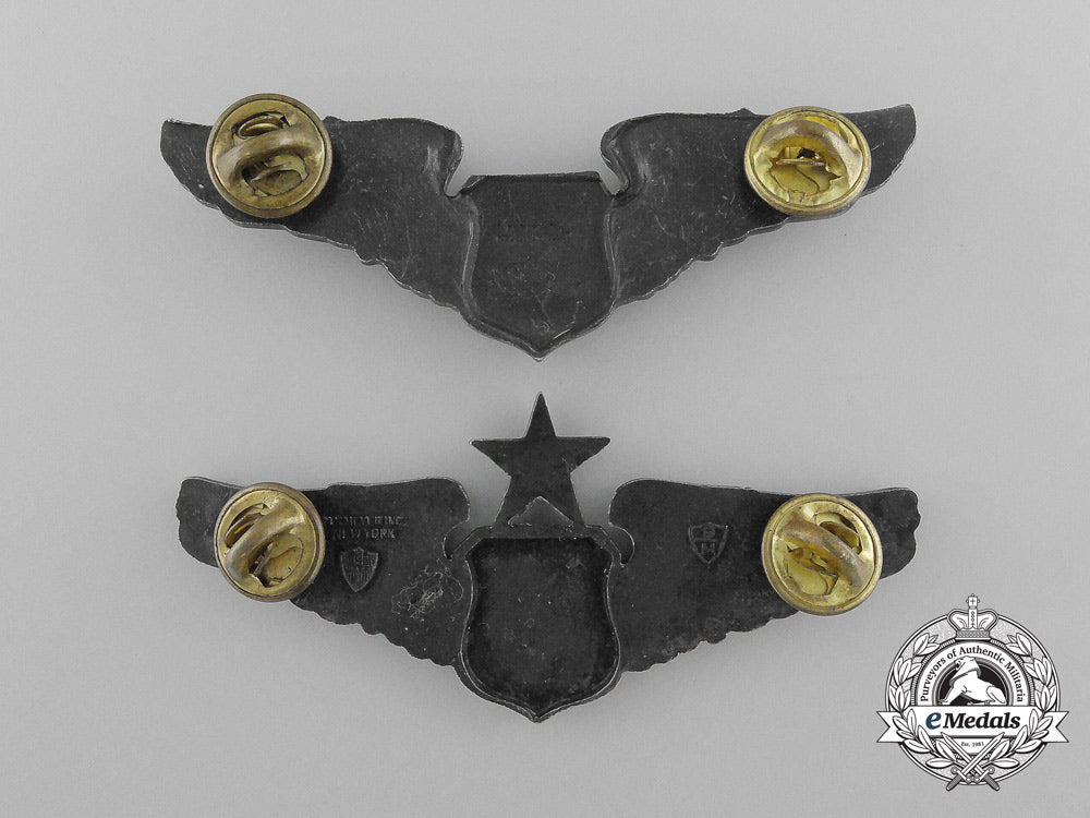 two_american_navigator/_combat_systems_officer/_observer_wings_d_7668