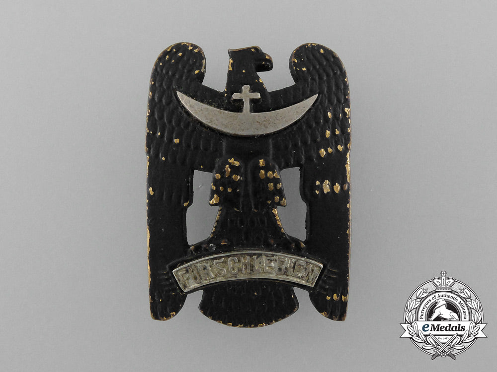 a_first_class_silesian_eagle_d_8167