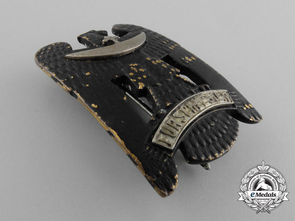 a_first_class_silesian_eagle_d_8169