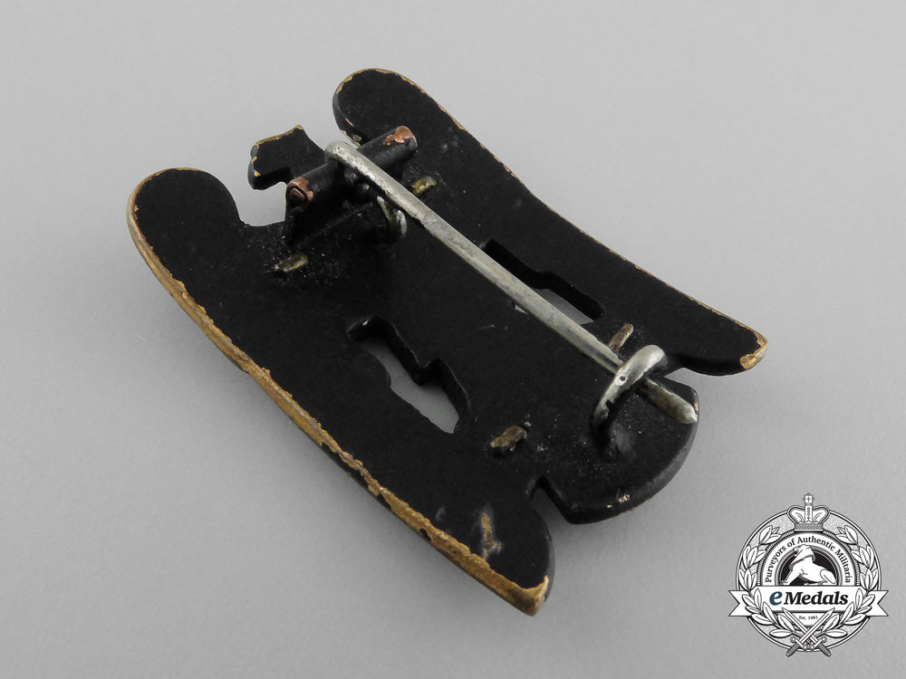 a_first_class_silesian_eagle_d_8170