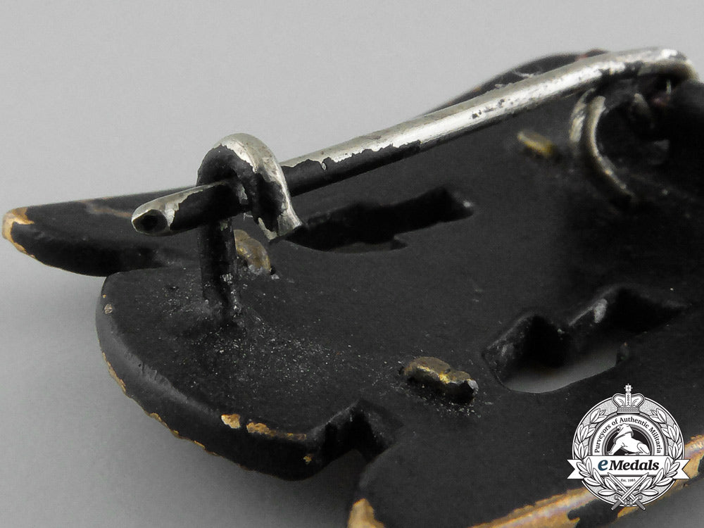 a_first_class_silesian_eagle_d_8171