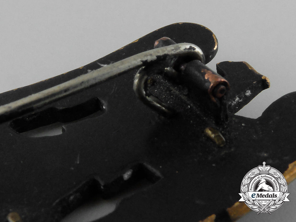 a_first_class_silesian_eagle_d_8172