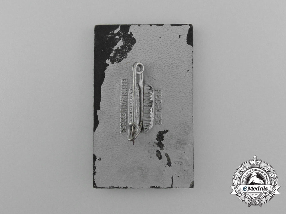 a1938_nsdap_kreis_appell_and_inauguration_of_the_borderlands_memorial_badge_d_8409