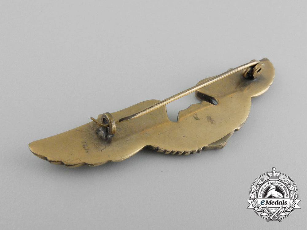 a_peruvian_pilot's_badge_d_8996_1