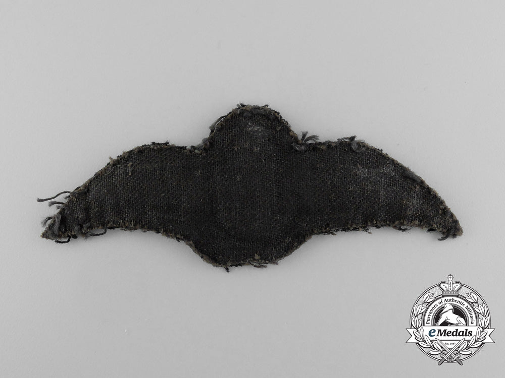 a_second_war_south_african_air_force(_saaf)_pilot_wing_d_9039_1