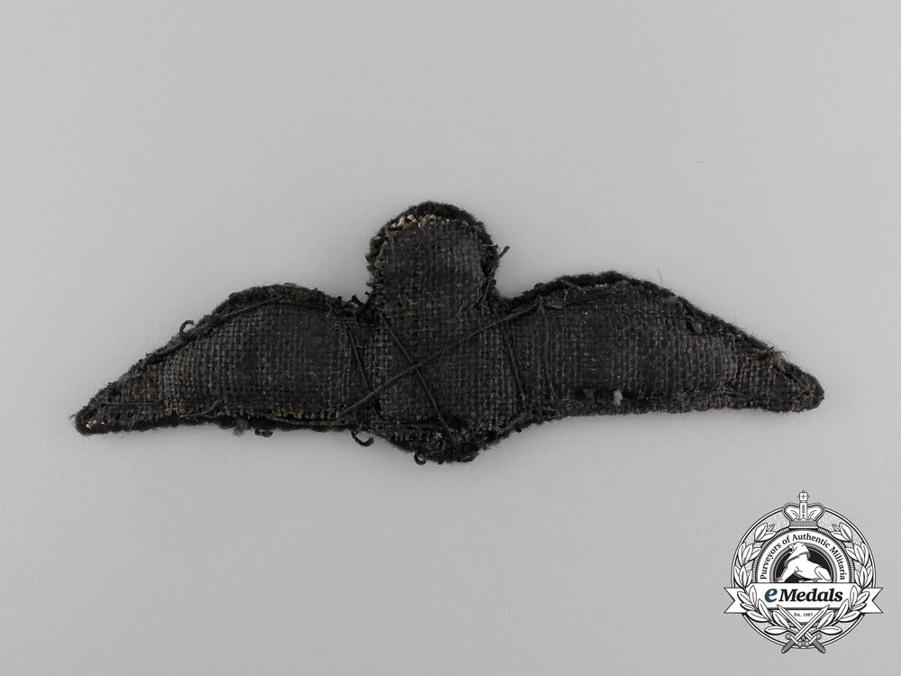 a_second_war_royal_air_force(_raf)_pilot_wing_d_9045_1