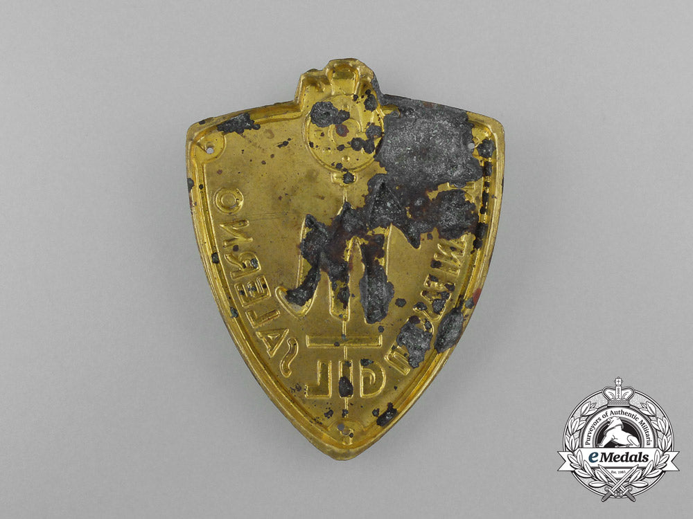 an_italian_youth_of_salermo_fascist_membership_badge_d_9266